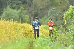 BIB: 
                            <button type="button" onclick="openModal(13434092)" class="btn btn-primary btn-sm float-right btn-popup" data-toggle="modal" data-target=".modal-high-quality">
                        <i class="fas fa-shopping-cart"></i> Add to Cart
                    </button>
                                            <button type="button" onclick="isThisMe(13434092, true)" class="btn btn-success btn-sm float-right btn-popup btn-isme hidden" data-toggle="tooltip" data-placement="bottom" title="นี่คือรูปของคุณใช่ไหม คลิกที่นี่เพื่อเอาเข้าอัลบั้ม">
                        <i class="fas fa-plus"></i> Add to album
                    </button>
                    <button type="button" onclick="isThisMe(13434092, false)" class="btn btn-warning btn-sm float-right btn-popup btn-isnotme hidden">
                        <i class="fas fa-ban"></i> Remove from album
                    </button>